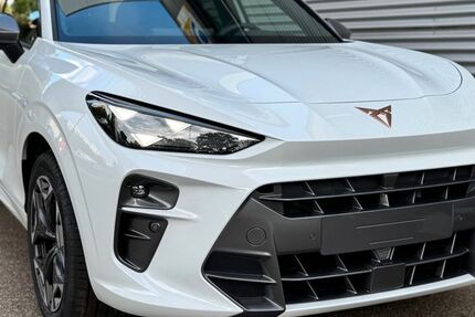 Cupra Terramar 9.000 km 40.990 &euro; Titisee-Neustadt 79822