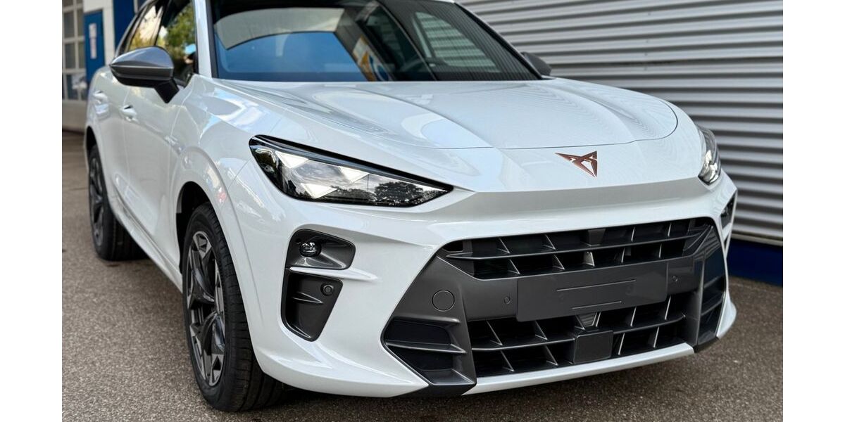 Cupra Terramar 9.000 km 40.990 &euro; Titisee-Neustadt 79822
