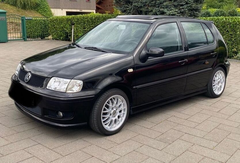 Polo