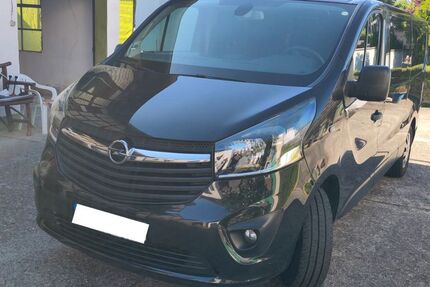 Opel Vivaro 142.296 km 18.750 &euro; Groß-Gerau 64521