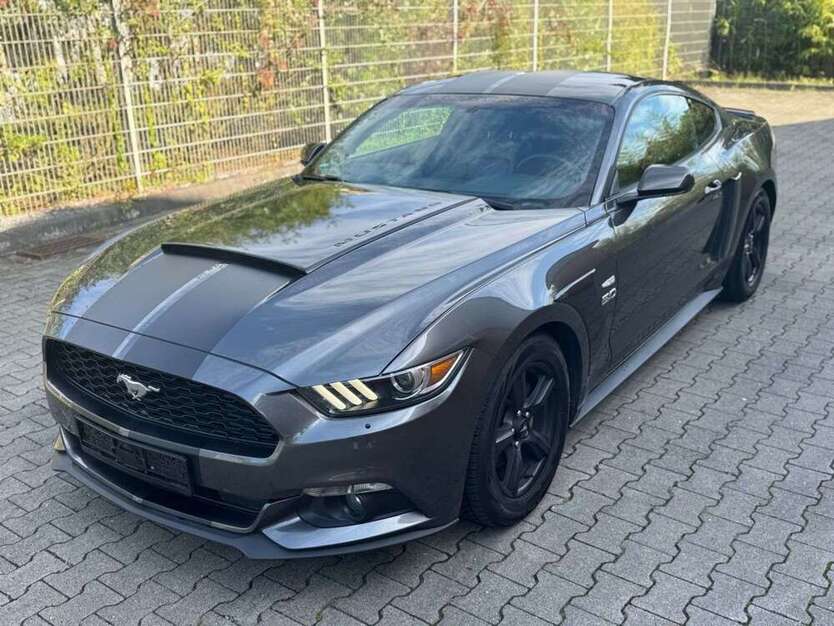 Mustang
