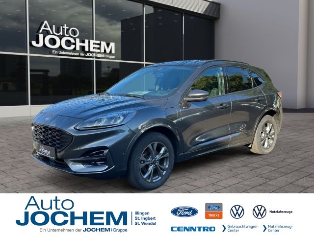 Kuga
