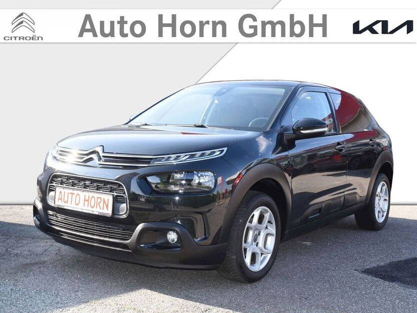 C4 Cactus
