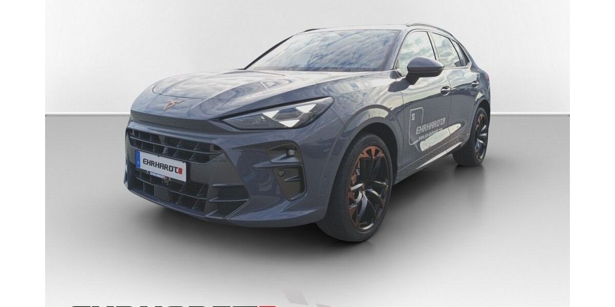 Cupra Terramar 5.500 km 44.490 &euro; Eisfeld 98673