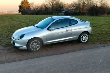 Ford Puma 239.000 km 2.000 &euro; Hochheim 65239