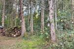 Einfamilienhaus Stadtkyll - 3 Zimmer, 170 m&sup2;, 499.000&euro; | Angebot:26580329