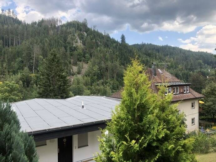 Etagenwohnung Baiersbronn Schönmünzach - 2 Zimmer, 67 m&sup2;, 125.000&euro; | Angebot:26160610