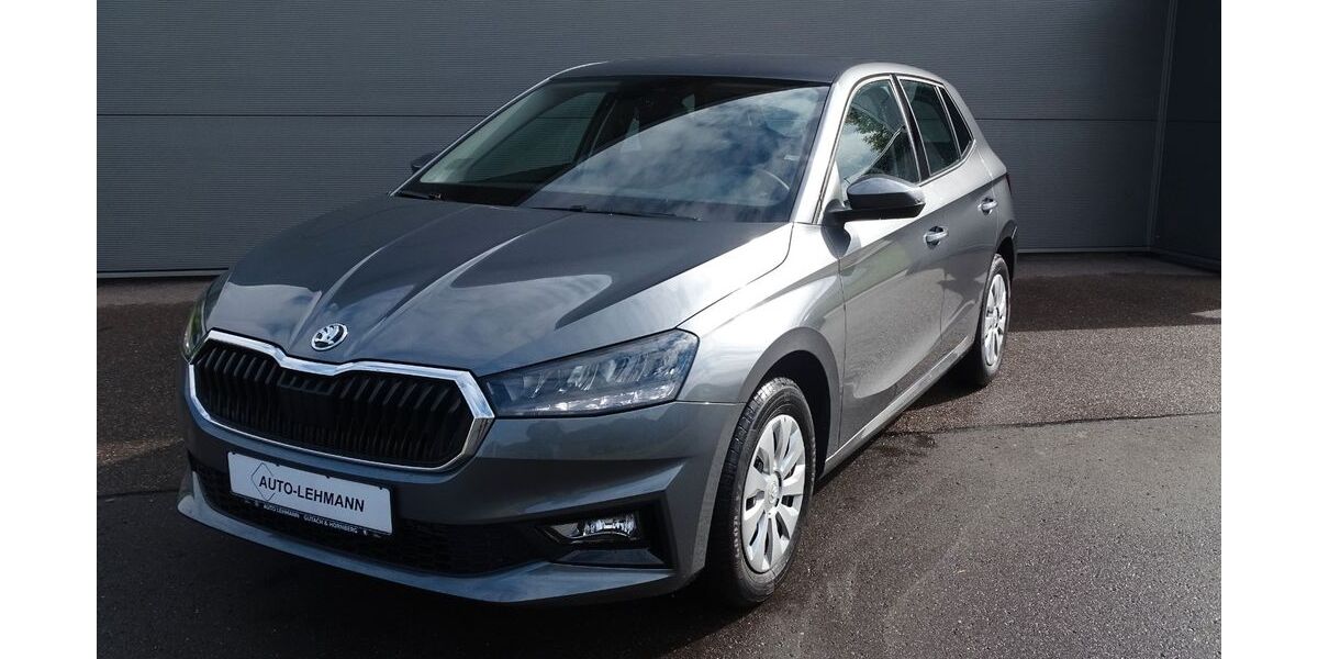 Skoda Fabia 12.900 km 17.990 &euro; Gutach 77793