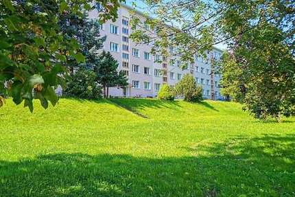 Wohnung zum Mieten in Freiberg 413 € 59 m² 3 zimmer