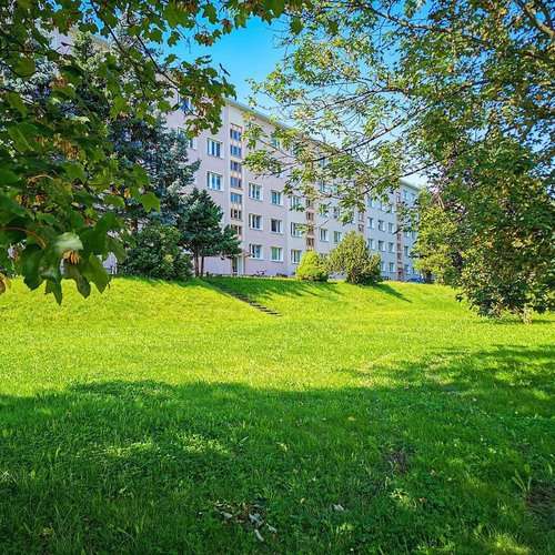 Wohnung zum Mieten in Freiberg 413 € 59 m² 3 zimmer