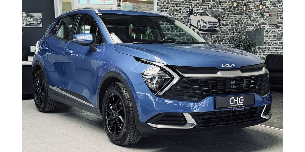 Kia Sportage 85.230 km 18.490 &euro; Balingen 72336