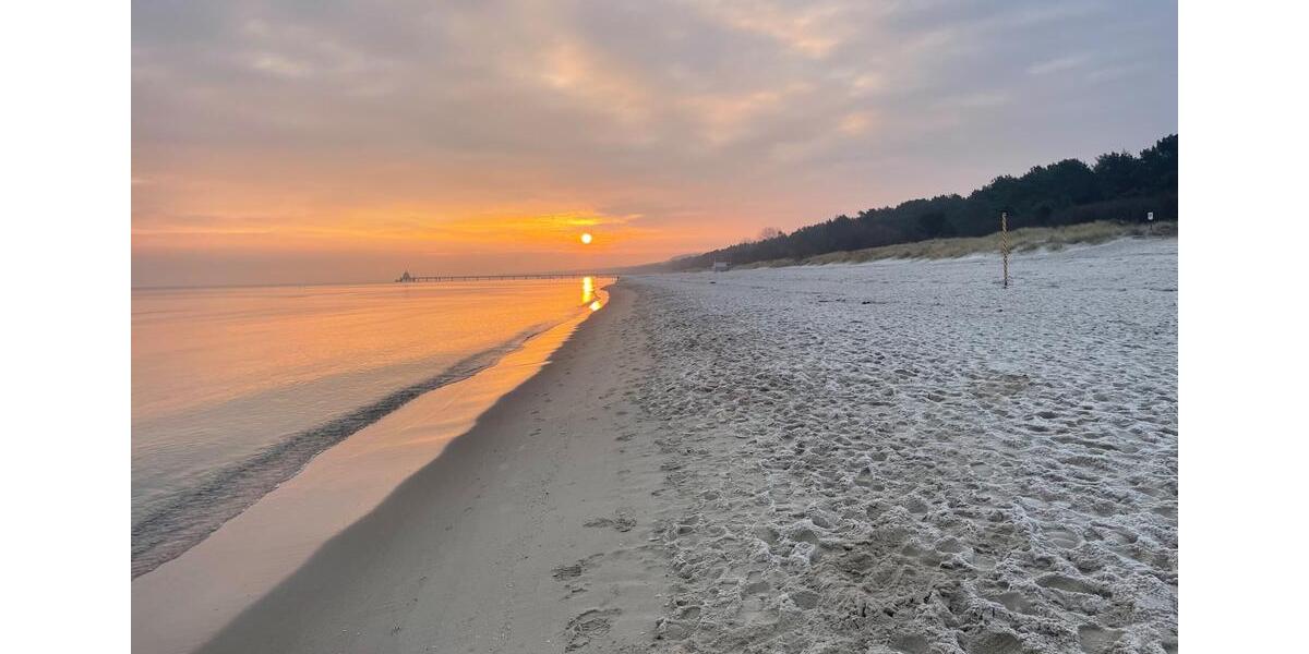 Doppelhaushälfte Zinnowitz - 4 Zimmer, 110 m&sup2;, 1.450&euro; | Angebot:26313473