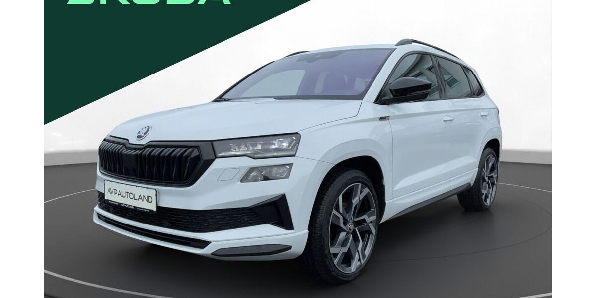 Skoda Karoq 61.452 km 28.850 &euro; Regen 94209