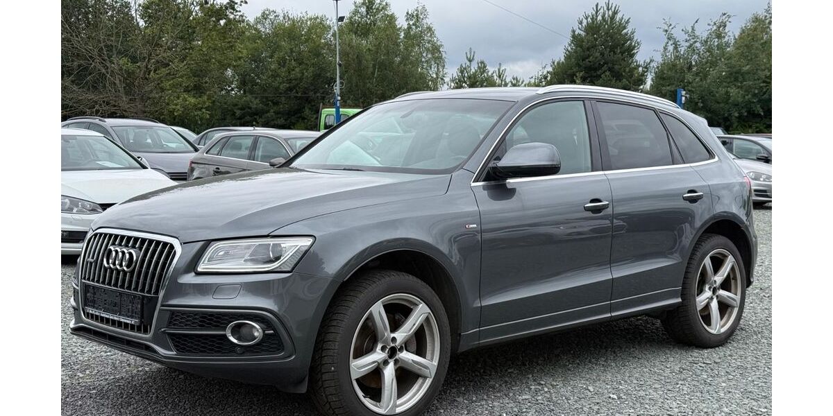 Audi Q5 216.990 km 14.290 &euro; Schleifreisen 07629
