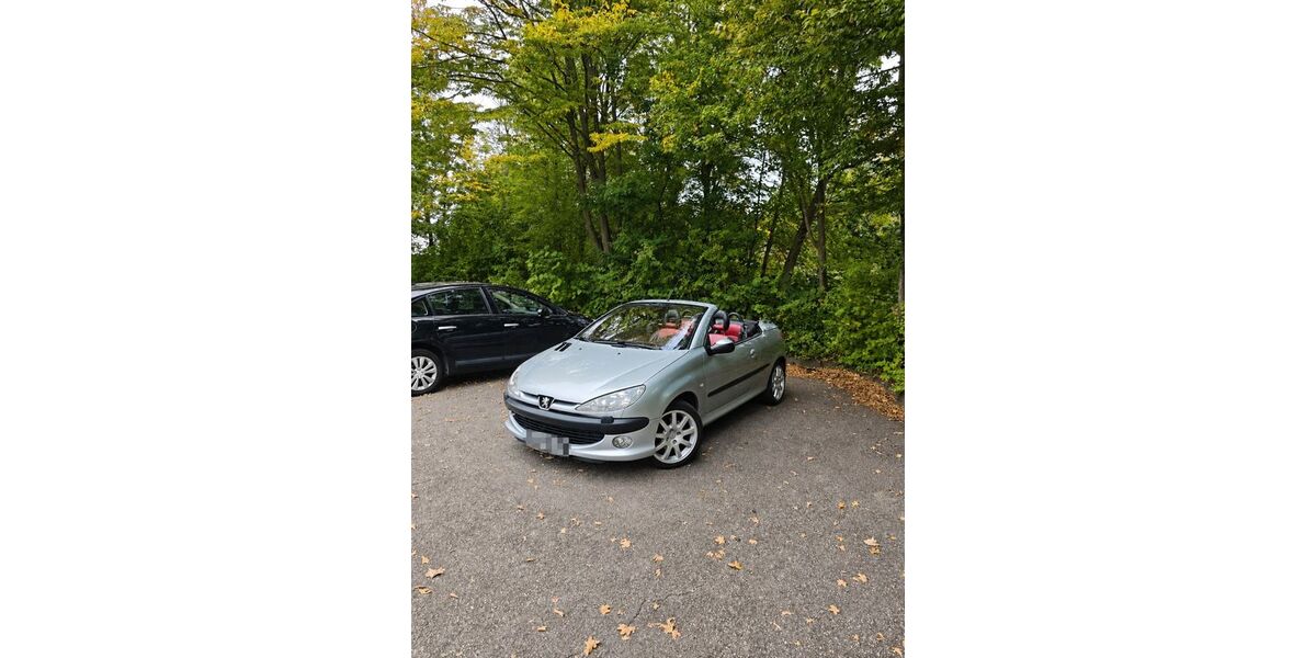 Peugeot 206 119.000 km 1.999 &euro; Bruchsal 76646