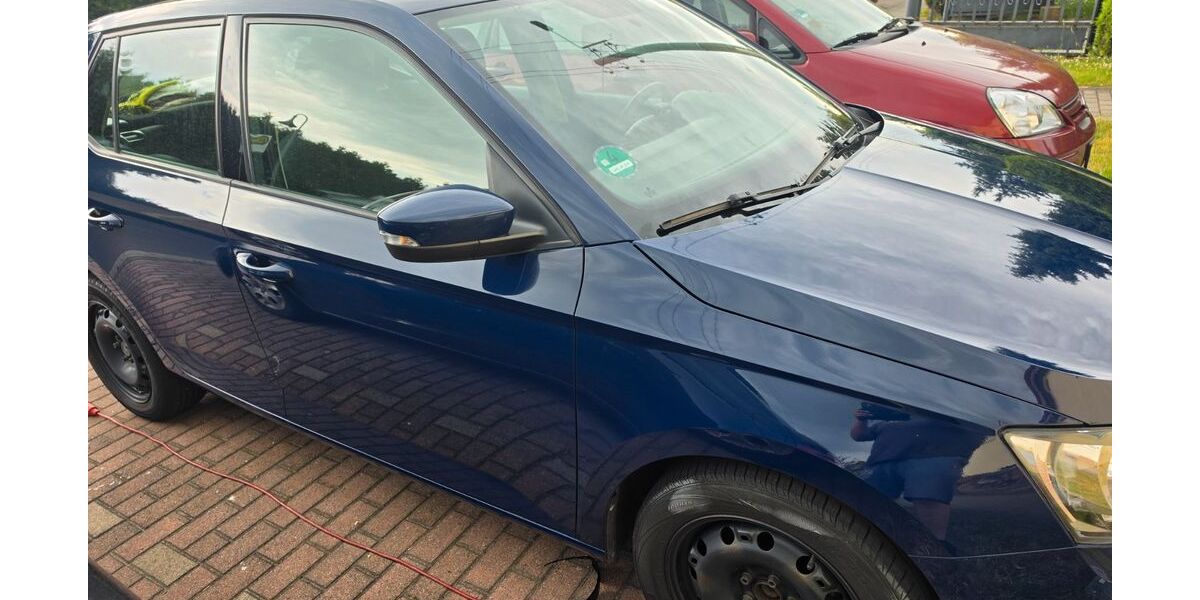 Skoda Fabia 100.000 km 7.200 &euro; Wurzen 04808