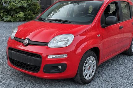 Fiat Panda 3.800 km 12.770 &euro; Brohl Lützing 56656