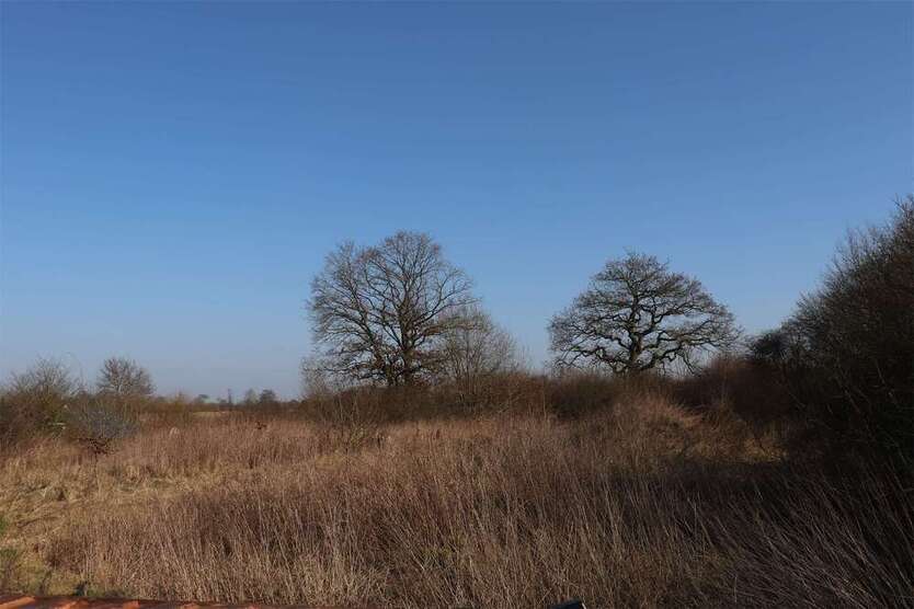 Grundstück in Schleswig 350.000 € 3500 m²