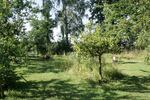 Landliches Domizil mit viel Grün! - Doppelhaushälfte Bernsdorf | Angebot:23687880