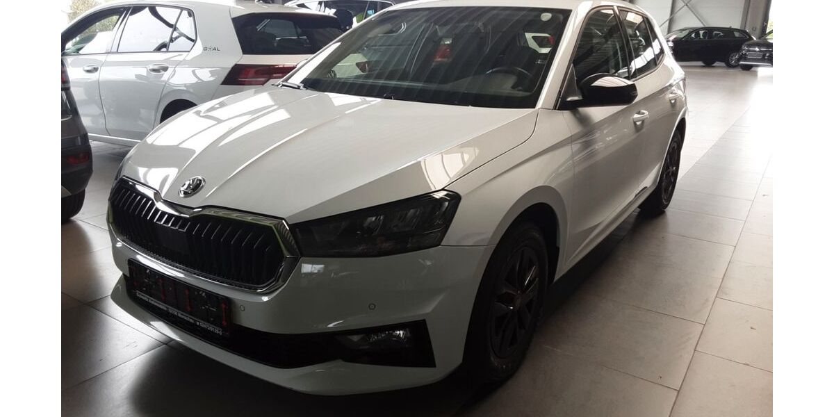 Skoda Fabia 12.200 km 17.990 &euro; Monschau (bei Aachen) 52156