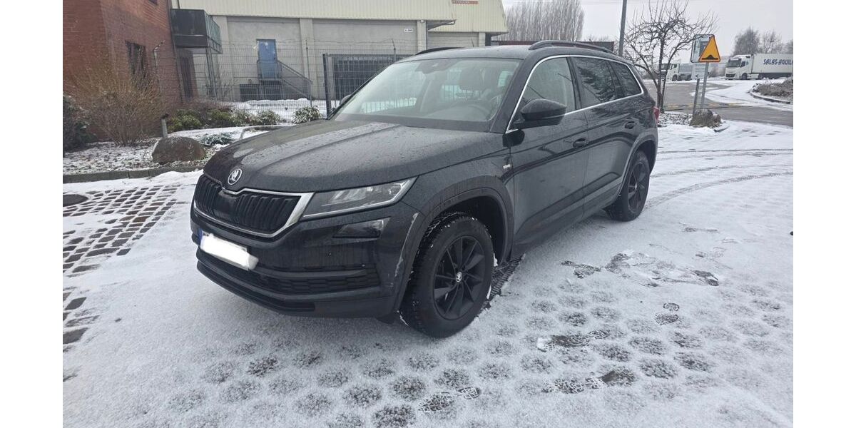 Skoda Kodiaq 301.077 km 14.900 &euro; Hamburg 22113