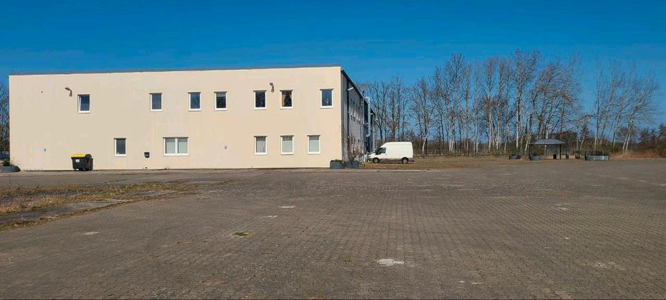 Gewerbeobjekt Dannenberg (Elbe) - 5&euro; | Angebot:26476146