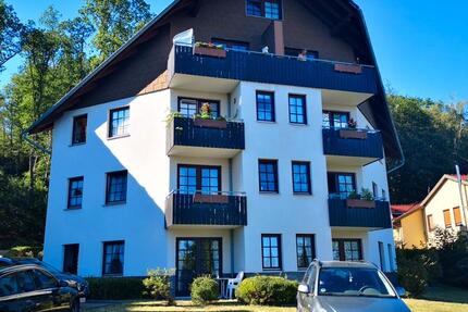Wohnung Bad Sachsa - 2 Zimmer, 44 m&sup2;, 49.900&euro; | Angebot:27083778