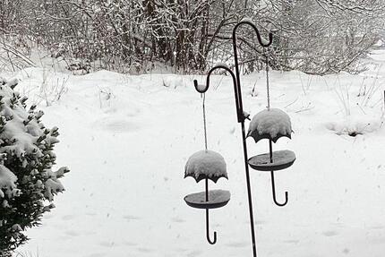 Wohnung in Pfronten 2 zimmer