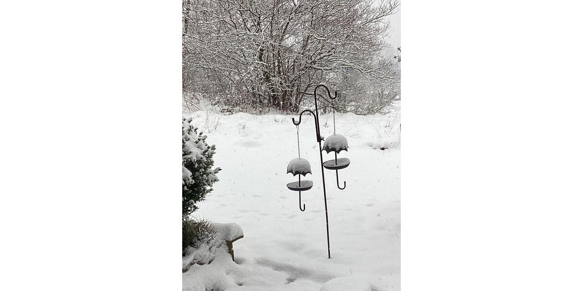 Wohnung in Pfronten 2 zimmer