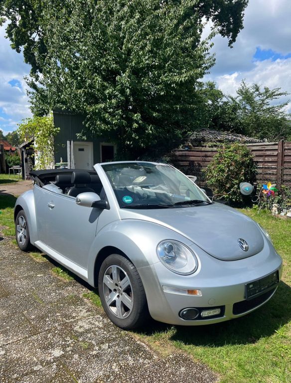 Beetle