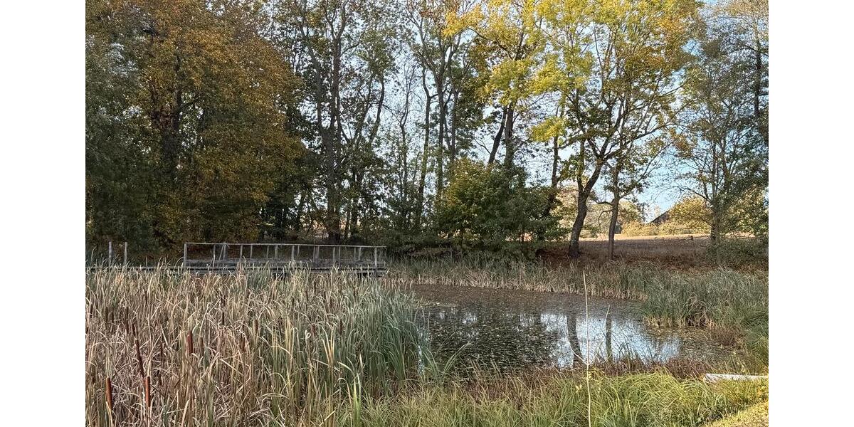 Bauernhaus, Landhaus Prenzlau - 6 Zimmer, 198 m&sup2;, 370.000&euro; | Angebot:25960476