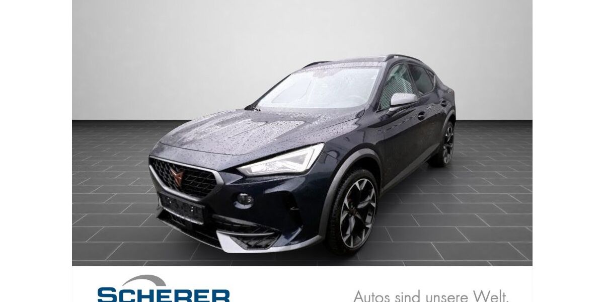 Cupra Formentor 40.825 km 28.950 &euro; Ladenburg 68526