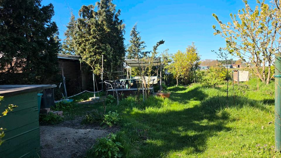 Einfamilienhaus Lychen - 5 Zimmer, 100 m&sup2;, 205.000&euro; | Angebot:25723817