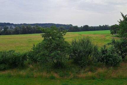 Wohnung Adelsdorf - 4 Zimmer, 90 m&sup2;, 1.040&euro; | Angebot:25566987