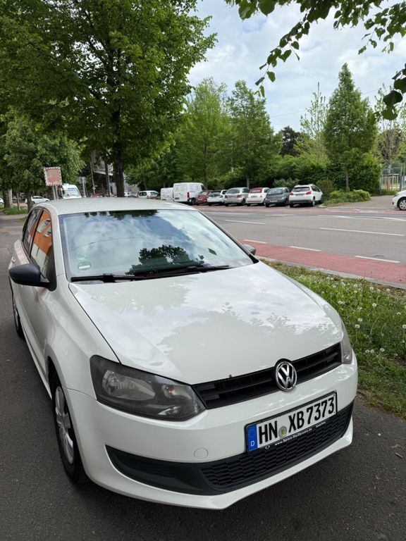 Polo