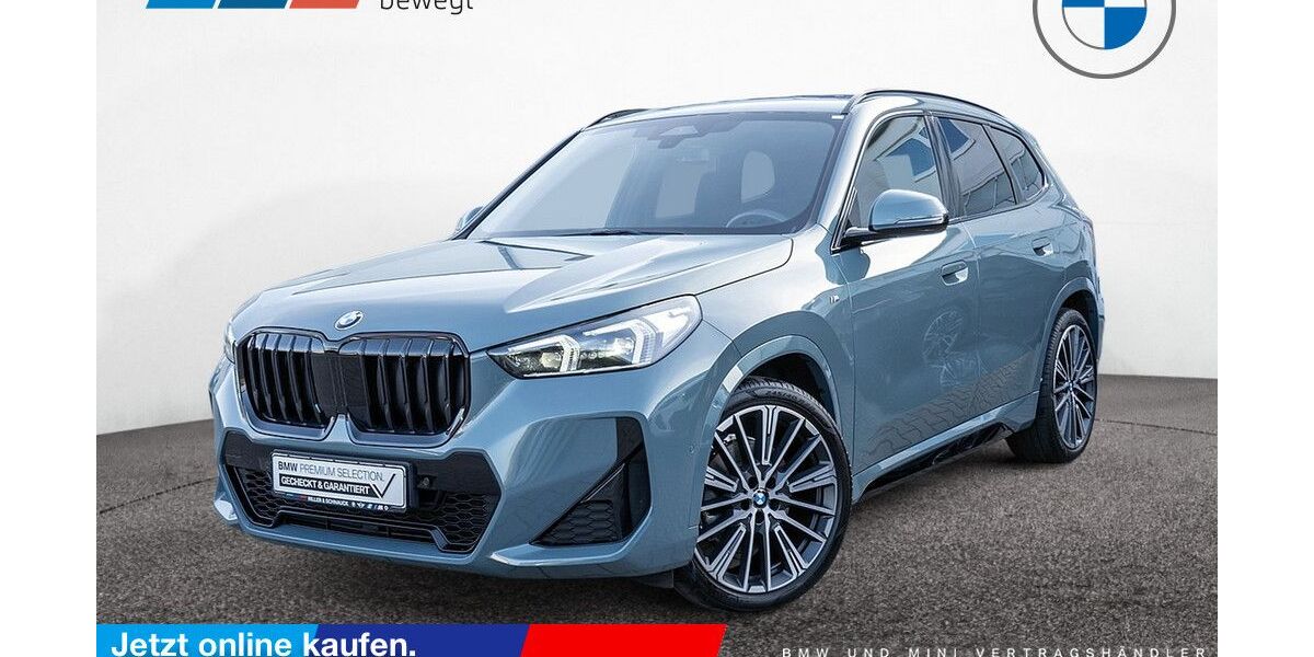 BMW X1 53.700 km 43.900 &euro; Schönefeld OT Großziethen 12529