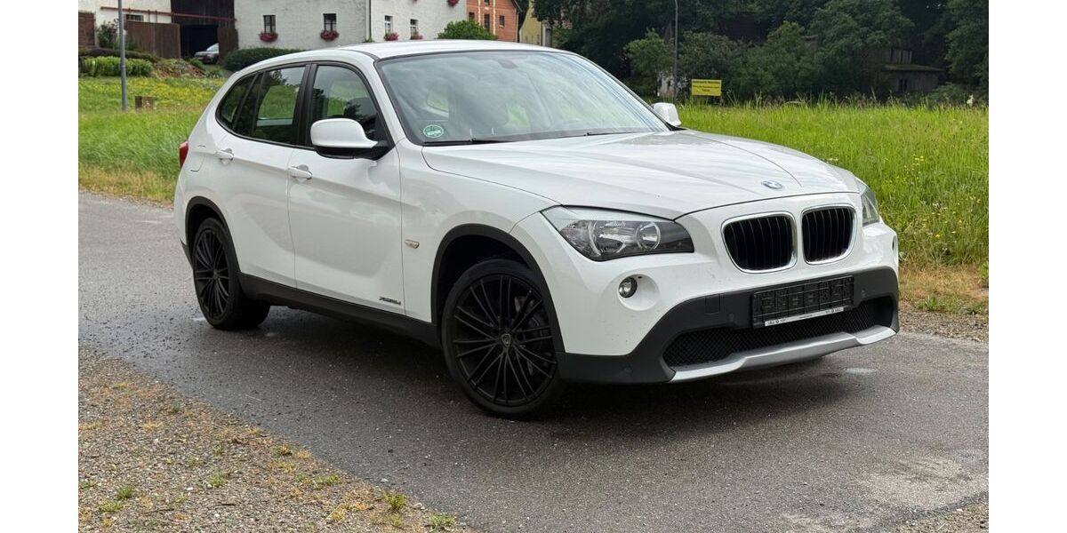 BMW X1 293.500 km 4.890 &euro; Theisseil 92637