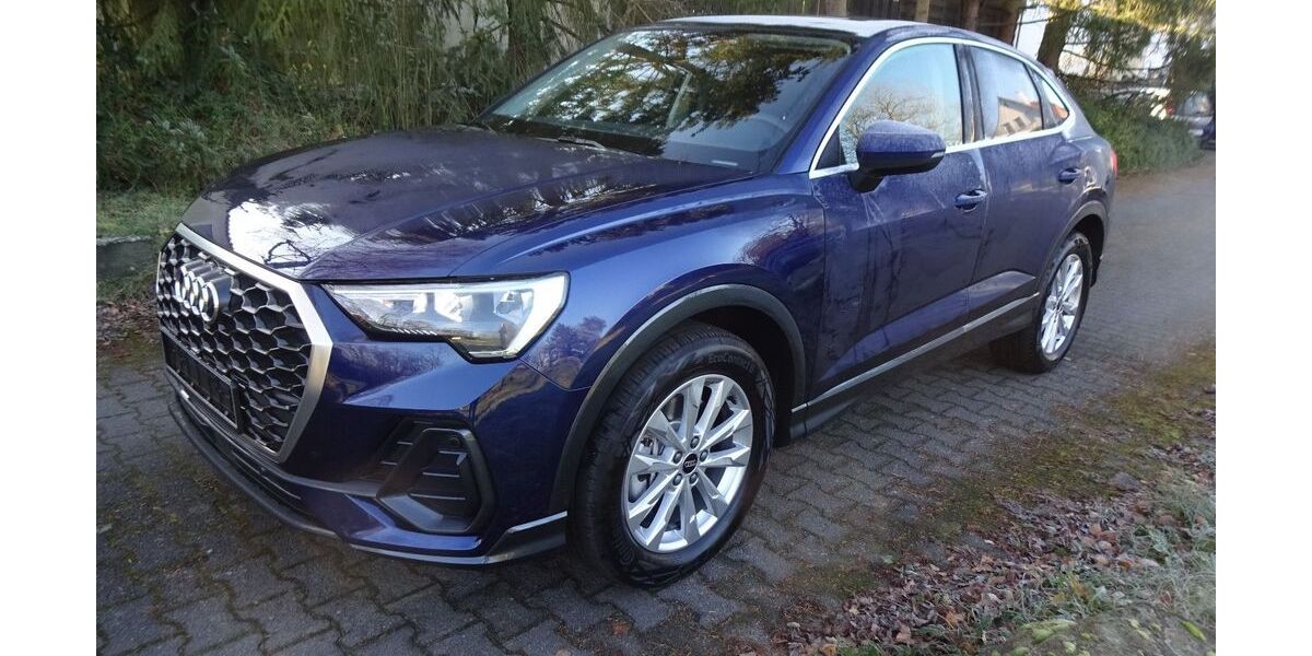 Audi Q3 38.000 km 41.599 &euro; Lorsch 64653
