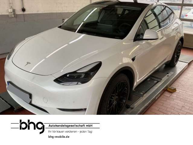 Model Y