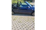 VW Golf 314.000 km 1.400 &euro; Osdorf 24251