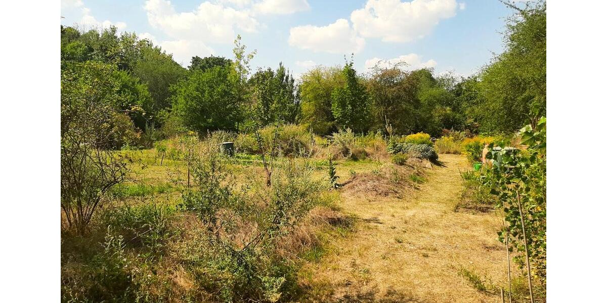 Einfamilienhaus Südliches Anhalt Pfaffendorf - 450.000&euro; | Angebot:26331471