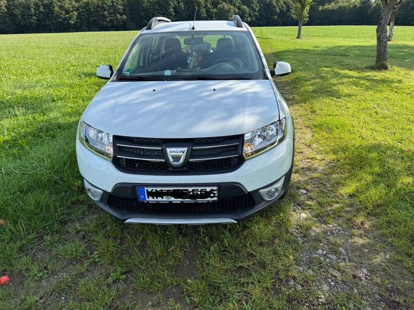Sandero