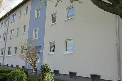 Wohnung Herne Altenhöfen - 3 Zimmer, 67 m&sup2;, 579&euro; | Angebot:26016461