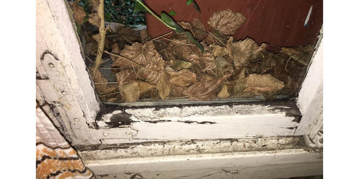 Mehrfamilienhaus, Wohnhaus Cochem - 8 Zimmer, 190 m&sup2;, 75.000&euro; | Angebot:23701526