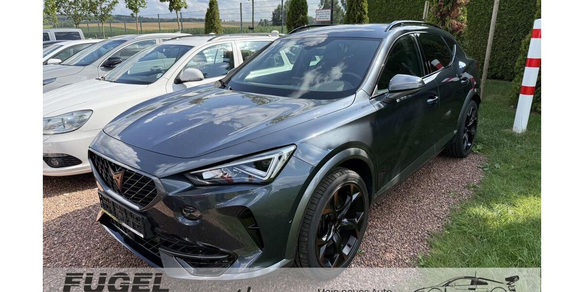 Cupra Formentor 53.050 km 25.999 &euro; Chemnitz - Mittelbach 09224