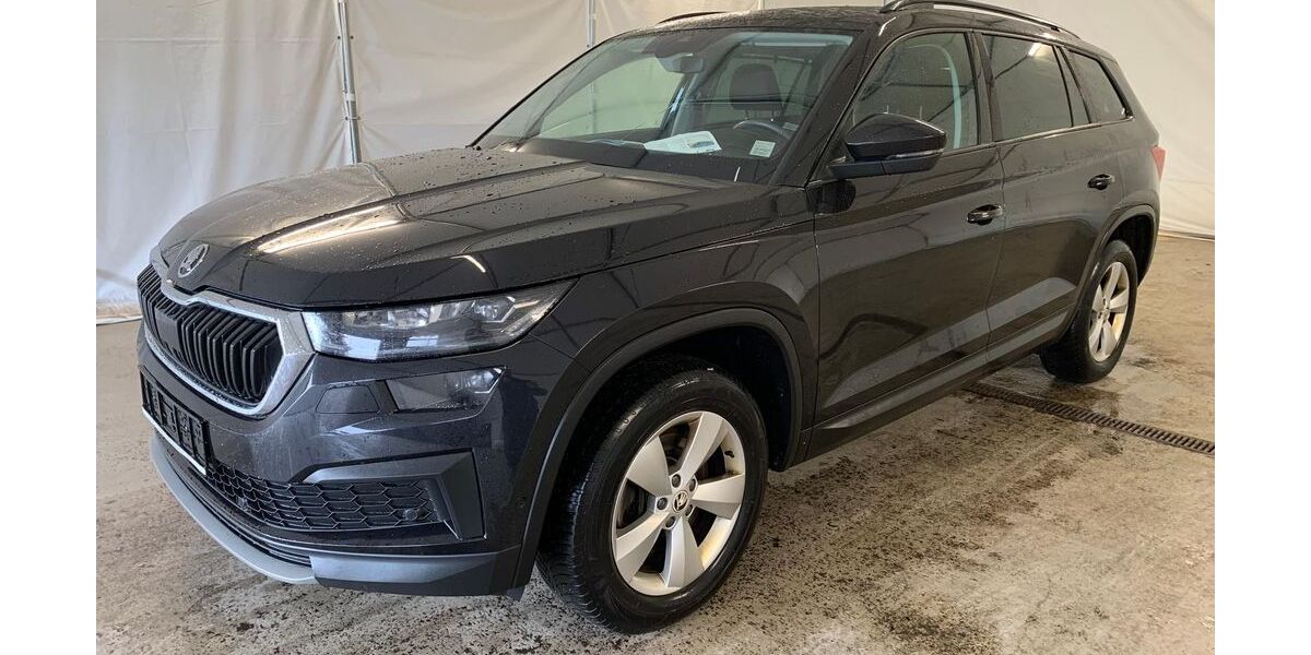 Skoda Kodiaq 179.899 km 21.990 &euro; Steinbach-Hallenberg OT Herges-Hallenberg 98587