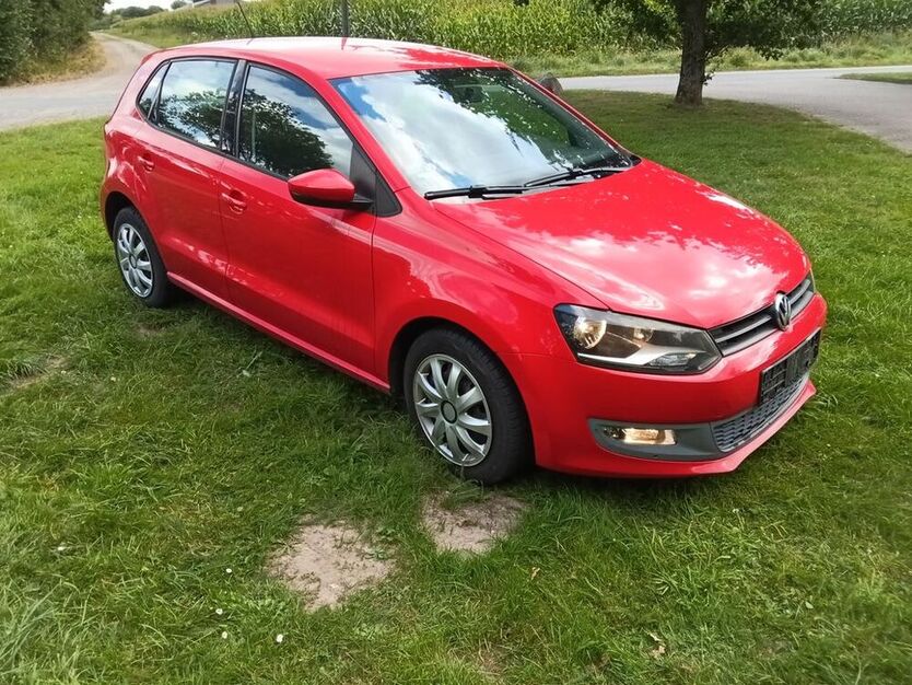 Polo