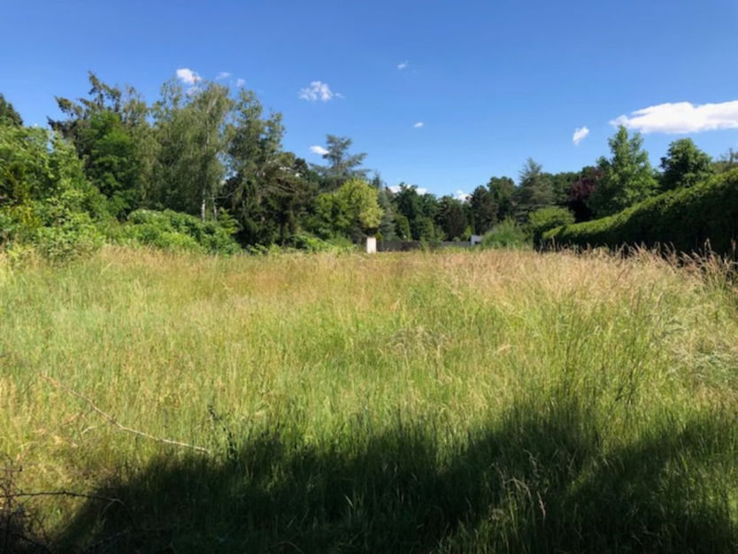 Traumhaftes Baugrundstück am Naturschutzgebiet - Ihr Paradies in Böhl-Iggelheim