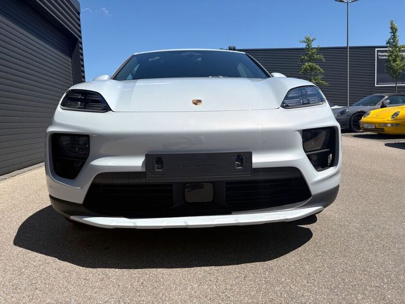 Macan