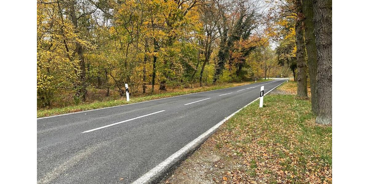 Grundstück Milower Land - 60.000&euro; | Angebot:20370793